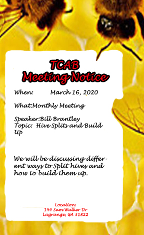 Monthly Meeting March 16, 2020